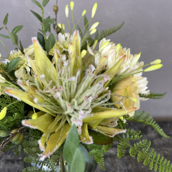 Kunstig Buket - Crispy Protea