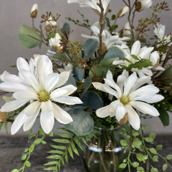 Vidunderlig Magnolia