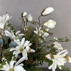 Vidunderlig Magnolia