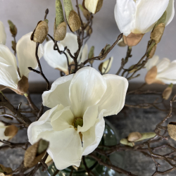 N�gne Magnolia - Hvid