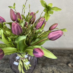 Simple Tulipaner - Lilla