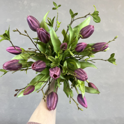 Simple Tulipaner - Lilla