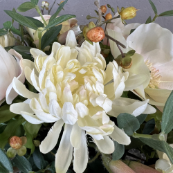 Fine Franske Anemoner