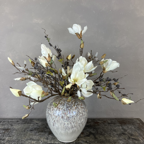 R� Magnolia m. b�r