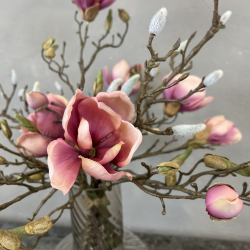 Mauve Magnolia