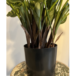 Kunstig Calathea Makoyana