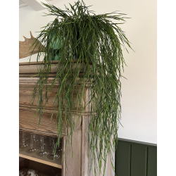 Kunstig Rhipsalis Hngeplante