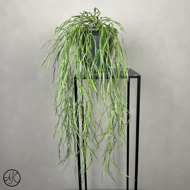 Kunstig Rhipsalis Hngeplante