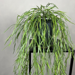 Kunstig Rhipsalis Hngeplante