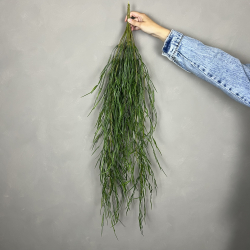 Kunstig Rhipsalis Hngeplante