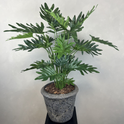 Kunstig Philodendron