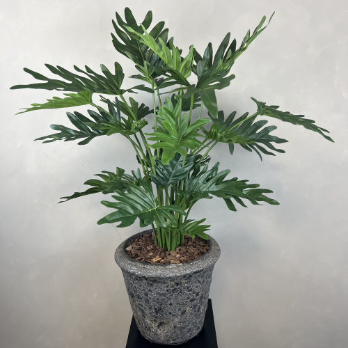 Kunstig Philodendron