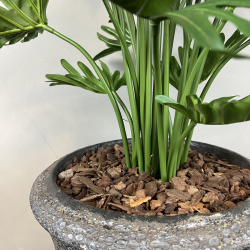 Kunstig Philodendron