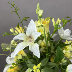 Kunstig Buket - Gul Frasia