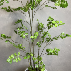 Kunstig Plante - Andiantum Bregne