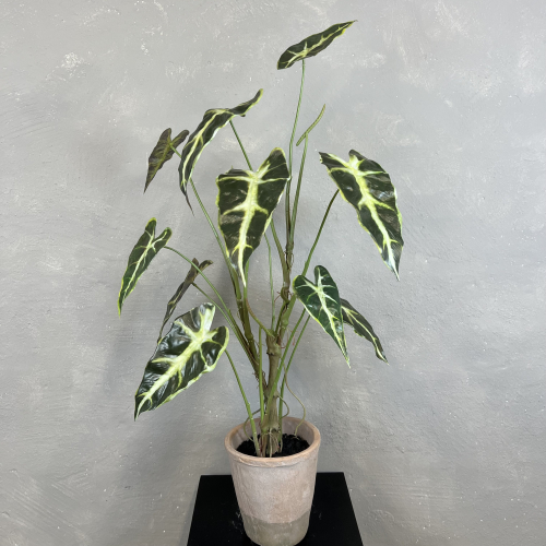 Kunstig Plante - Caladium
