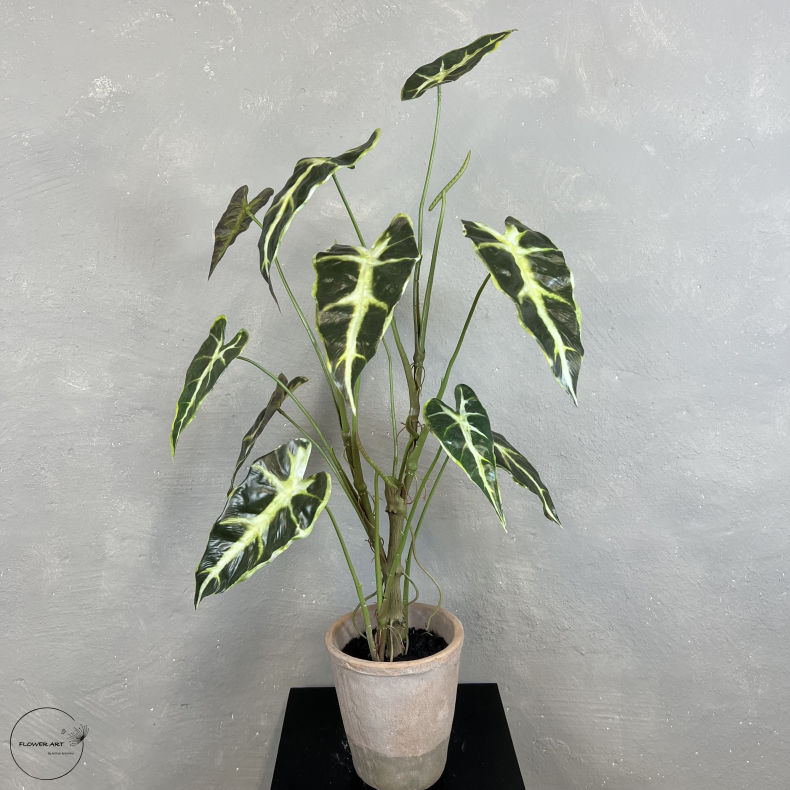 Kunstig Plante - Caladium
