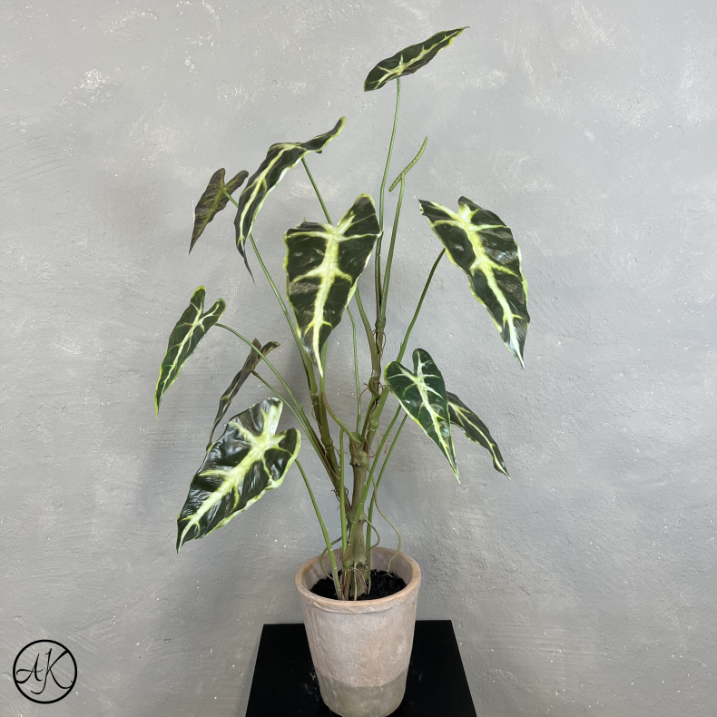 Kunstig Plante - Caladium