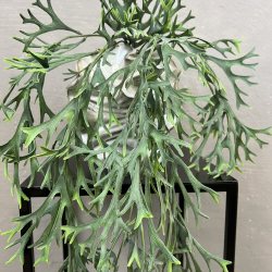 Kunstig Plante - Hjortetak Bregne