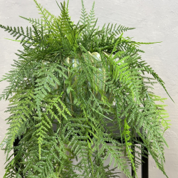 Kunstig Plante - Hnge Aspargus
