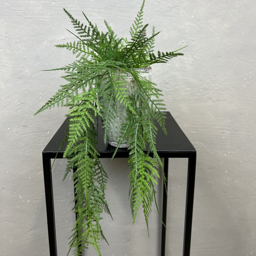 Kunstig Plante - Mini H�nge Aspargus