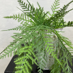 Kunstig Plante - Mini Hnge Aspargus