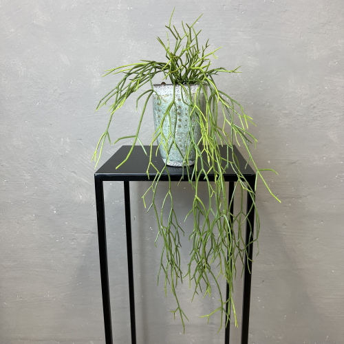 Kunstig Plante - H�nge Sukkulent