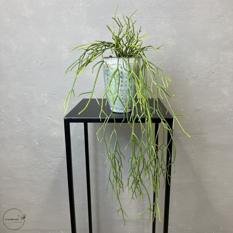 Kunstig Plante - Hnge Sukkulent