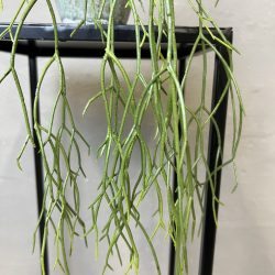 Kunstig Plante - Hnge Sukkulent