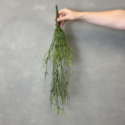 Kunstig Plante - Hnge Sukkulent