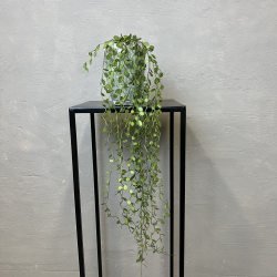 Kunstig Plante - Pletter i Luften