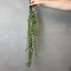 Kunstig Plante - Pletter i Luften