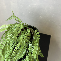 Kunstig Plante - Adiantum Hngebregne