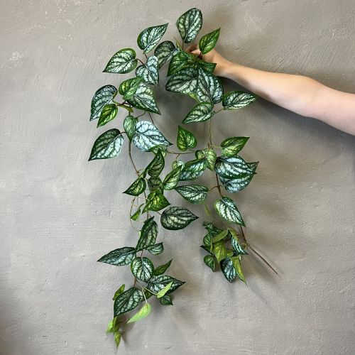 Kunstig Plante - Scindapsus Ranke