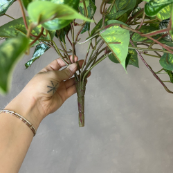 Kunstig Plante - Scindapsus 