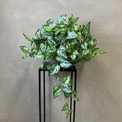 Kunstig Plante - Scindapsus 