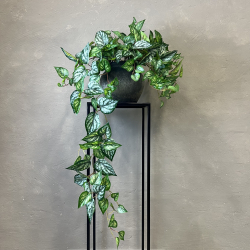 Kunstig Plante - Scindapsus Ranke