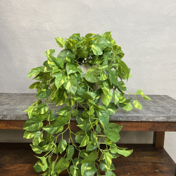 Lang Broget Guldranke