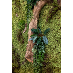 Stor Kunstig Mosvg m. beplantning