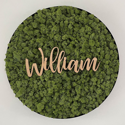 Mosv�g med eller uden navn